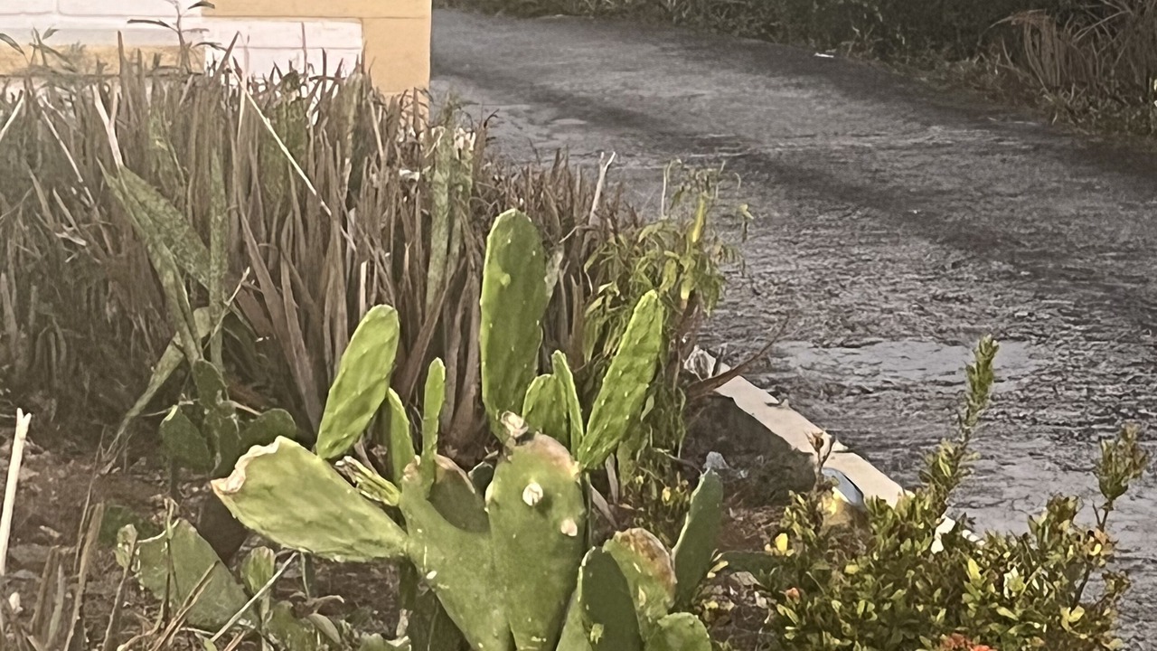 Photo of Outdoor in Nazareth