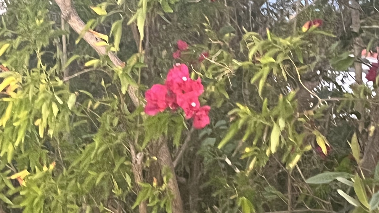 Photo of Outdoor in Nazareth