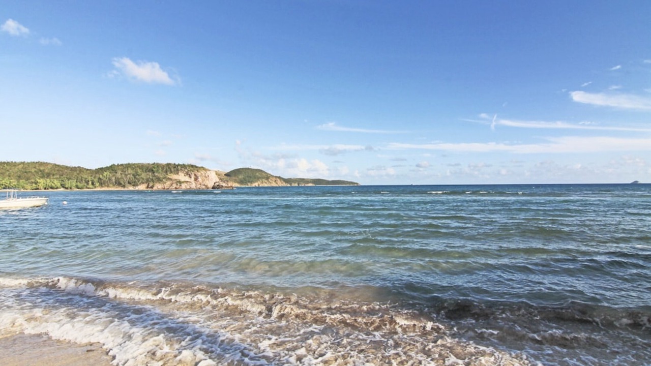 Photo of Others in Bolongo Bay