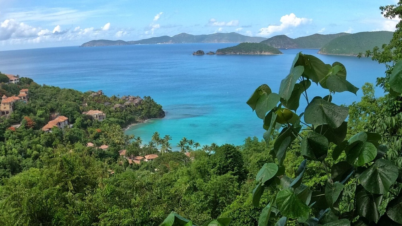 Photo of Others in Maho Bay Quarter