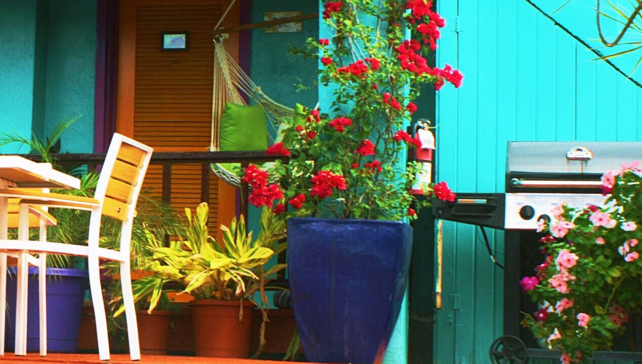 Photo of Outdoor in Estate Enighed