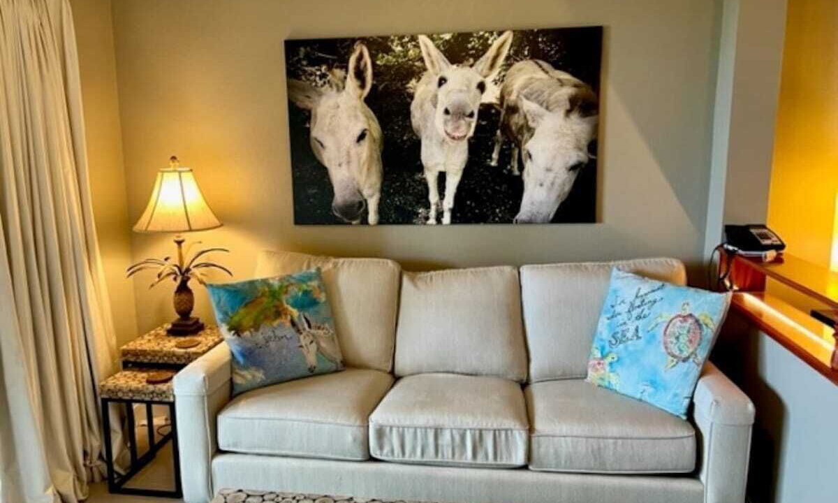 Photo of Livingroom in Estate Enighed