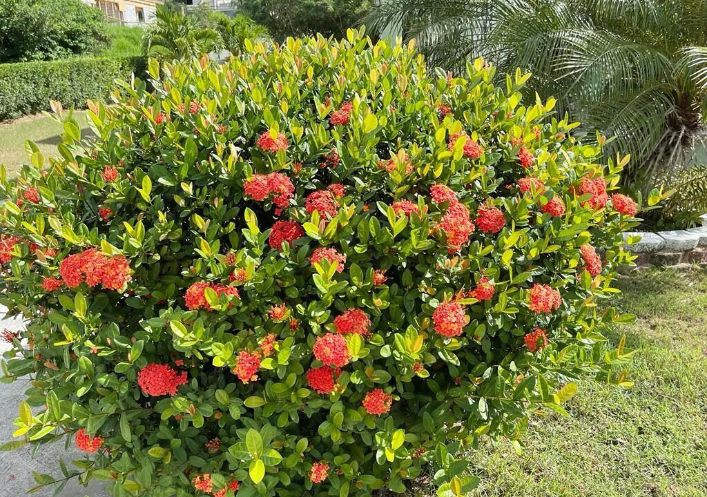 Photo of Outdoor in Estate Work and Rest