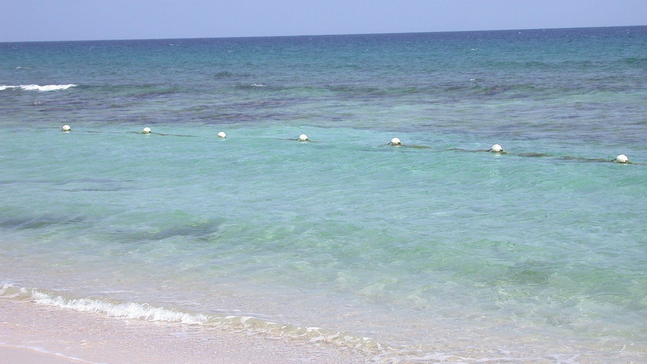 Photo of Others in Cane Bay