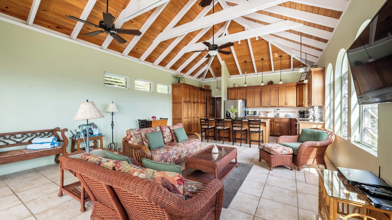 Photo of Livingroom in Lower Carolina