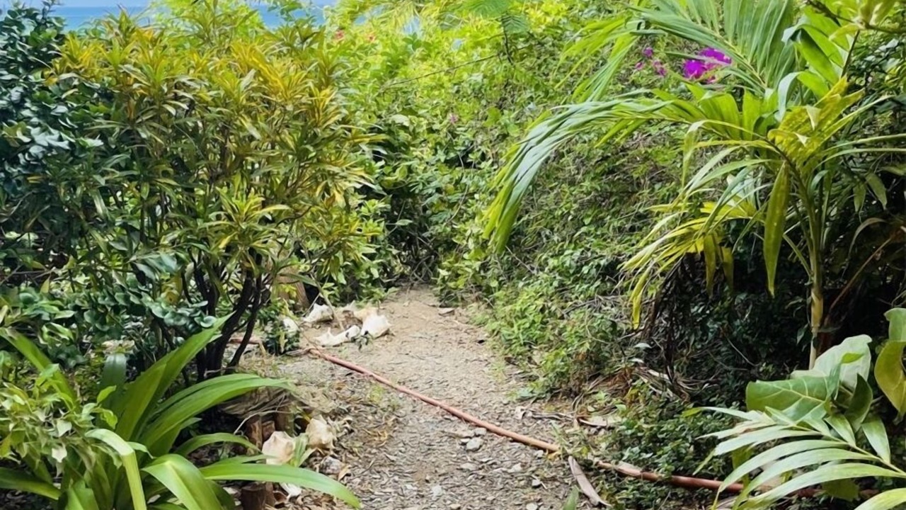 Photo of Outdoor in Cotton Valley