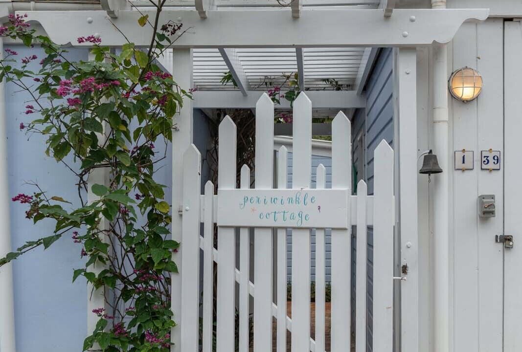 Photo of Outdoor in Lower Carolina