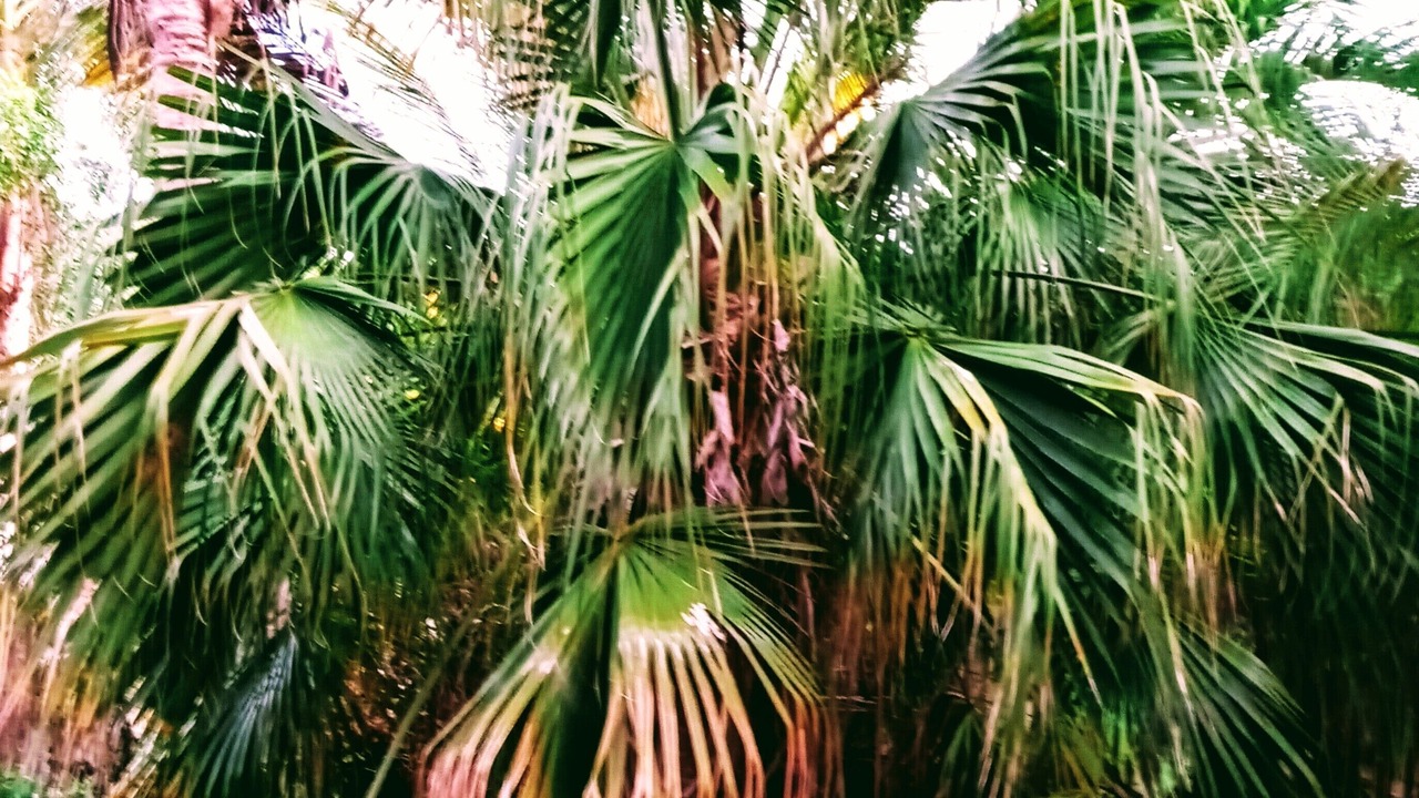 Photo of Outdoor in La Grande Princesse