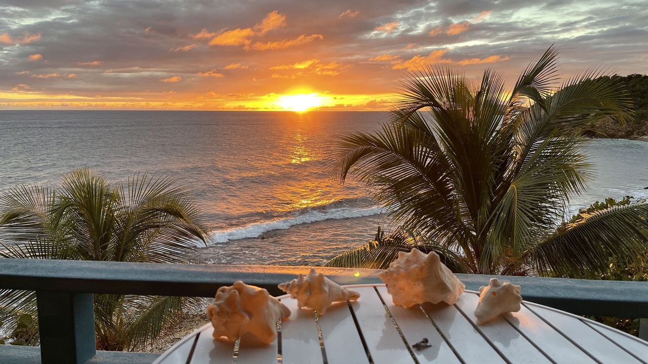 Photo of Outdoor in South Coast