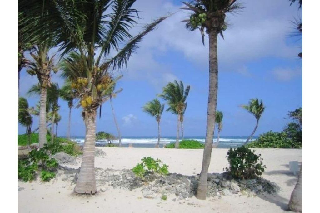 Photo of Others in Christiansted