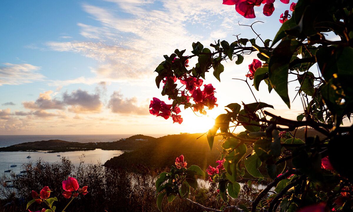 Photo of Outdoor in Estate Salt River