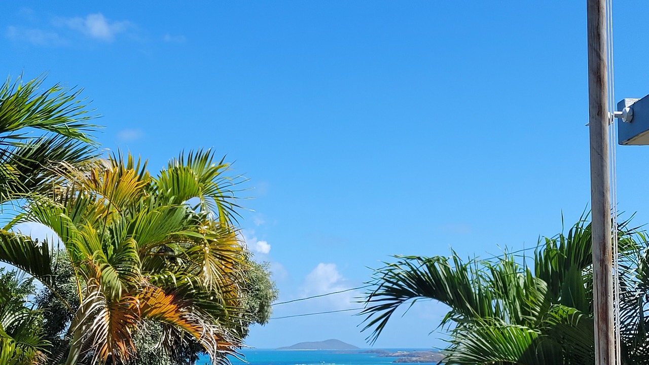 Photo of Others in Christiansted