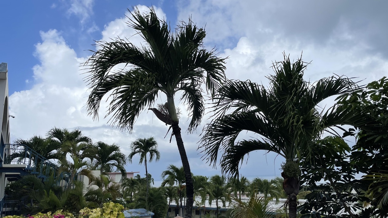 Photo of Outdoor in Christiansted