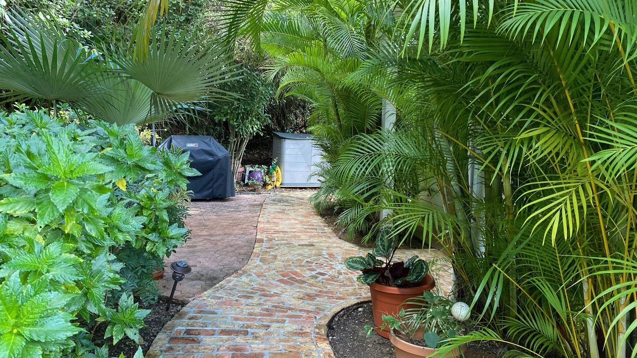 Photo of Outdoor in Lower Carolina