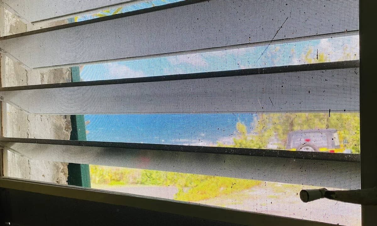 Photo of Others in Christiansted