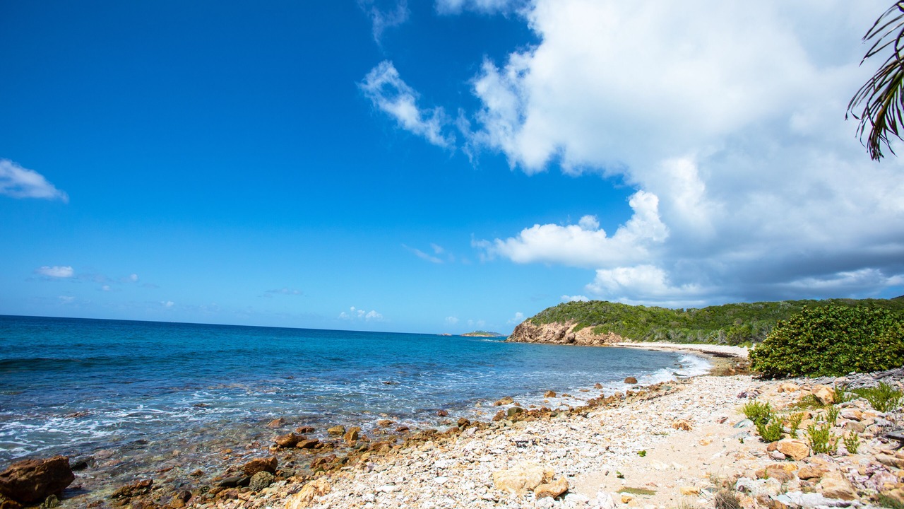Photo of Others in Bolongo Bay