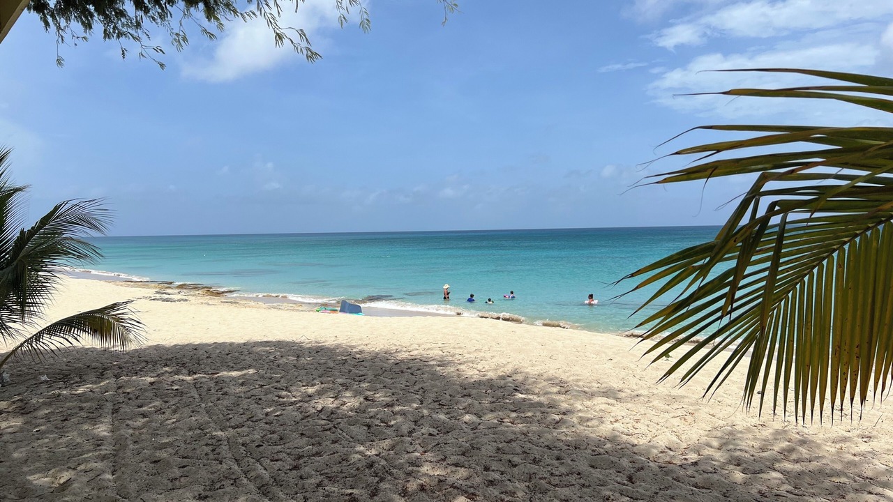 Photo of Others in Frederiksted Southeast