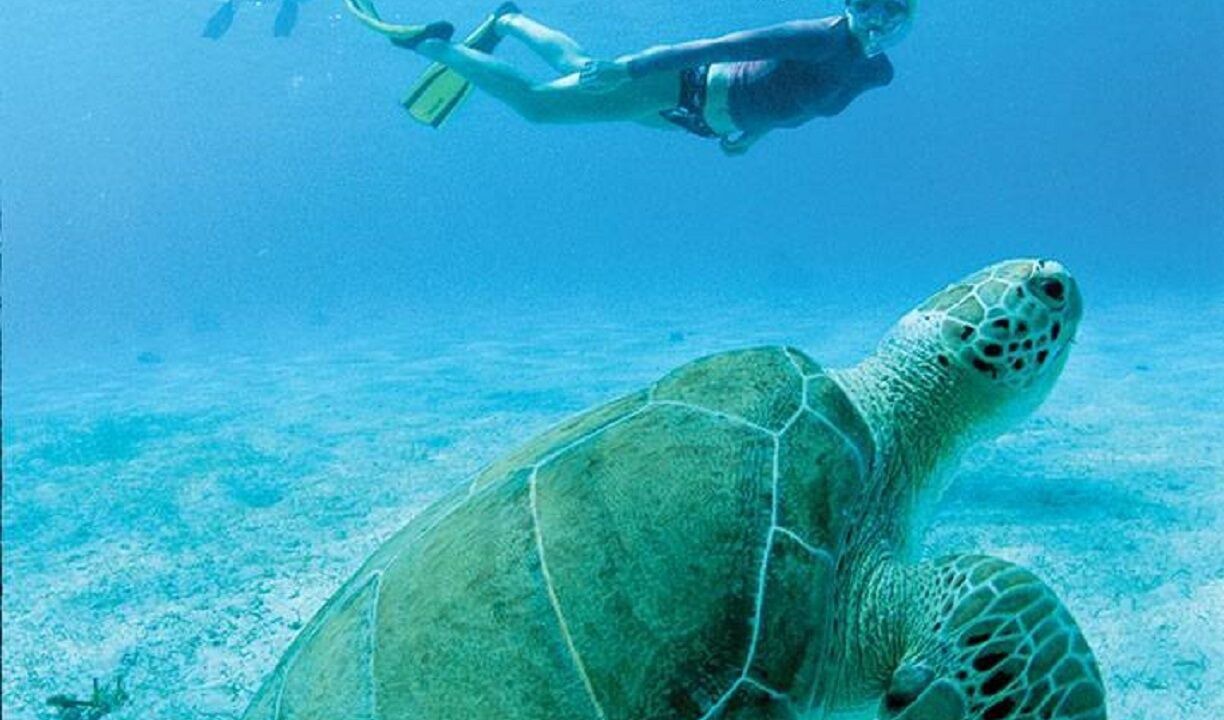 Photo of Others in Estate Chocolate Hole and Great Cruz Bay