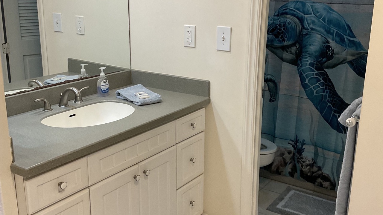 Photo of Bathroom in Red Hook