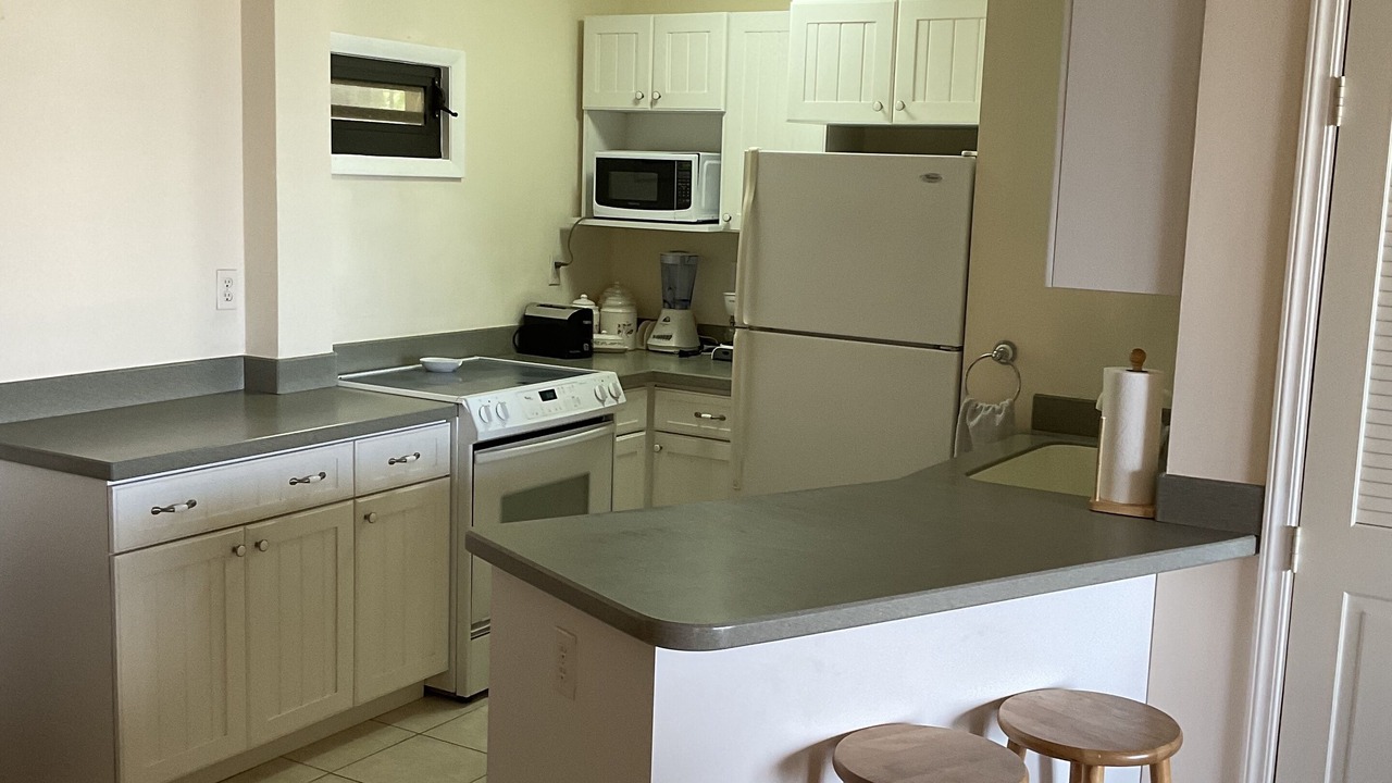 Photo of Kitchen in Red Hook