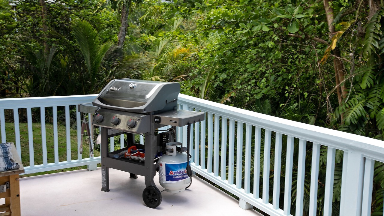 Photo of Outdoor in Estate Bonne Resolution