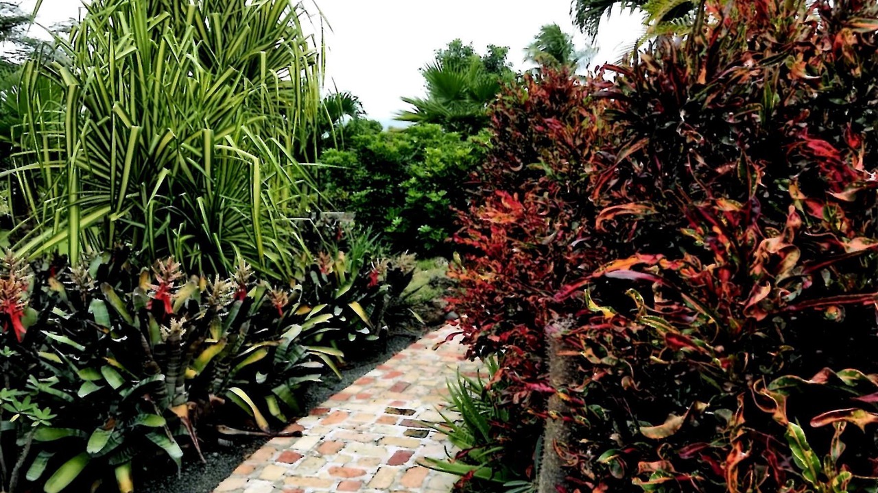 Photo of Outdoor in Estate Belvedere