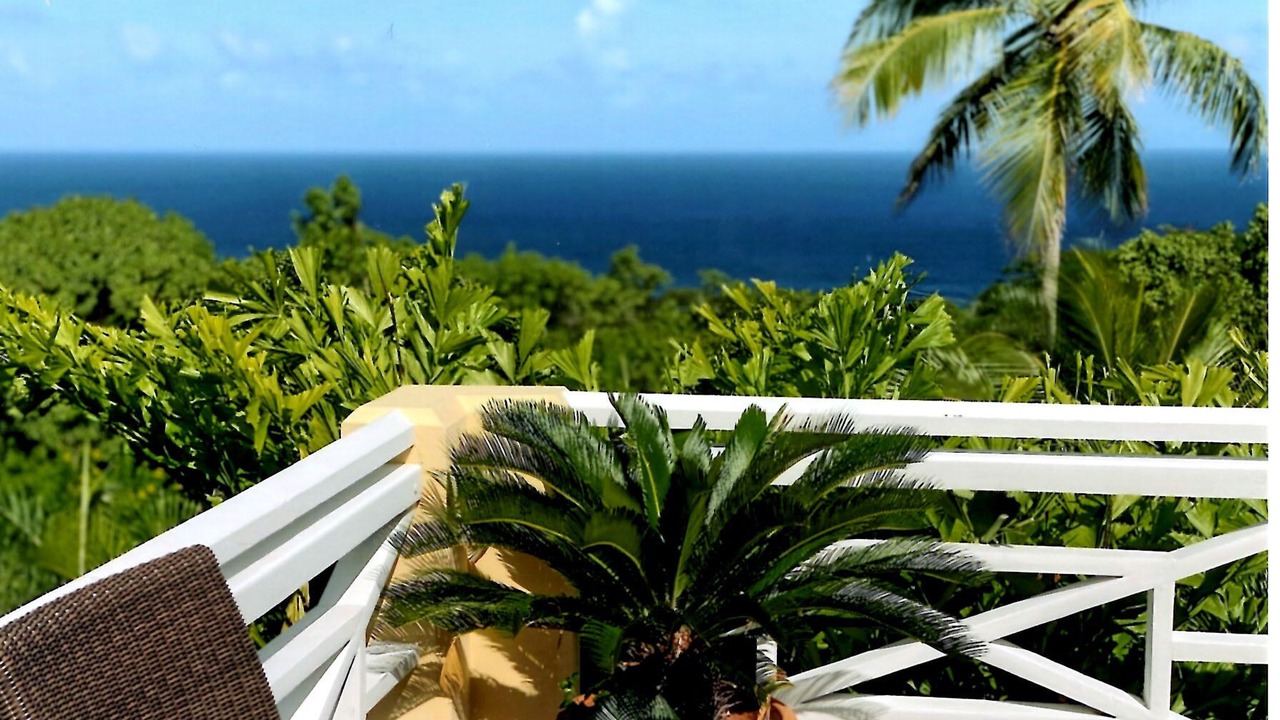 Photo of Outdoor in Estate Belvedere