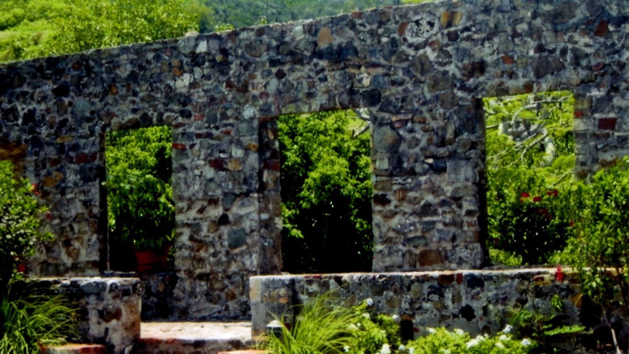 Photo of Outdoor in Estate Belvedere