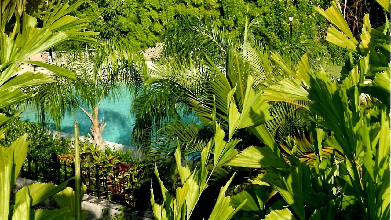 Photo of Outdoor in Estate Belvedere