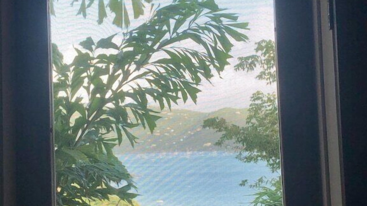 Photo of Others in Estate Saint Quaco and Zimmerman
