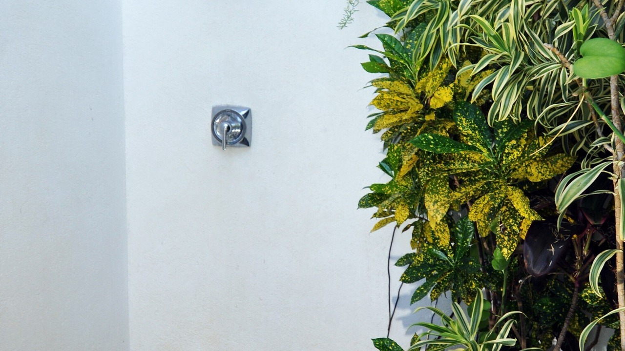 Photo of Outdoor in Estate Calabash Boom