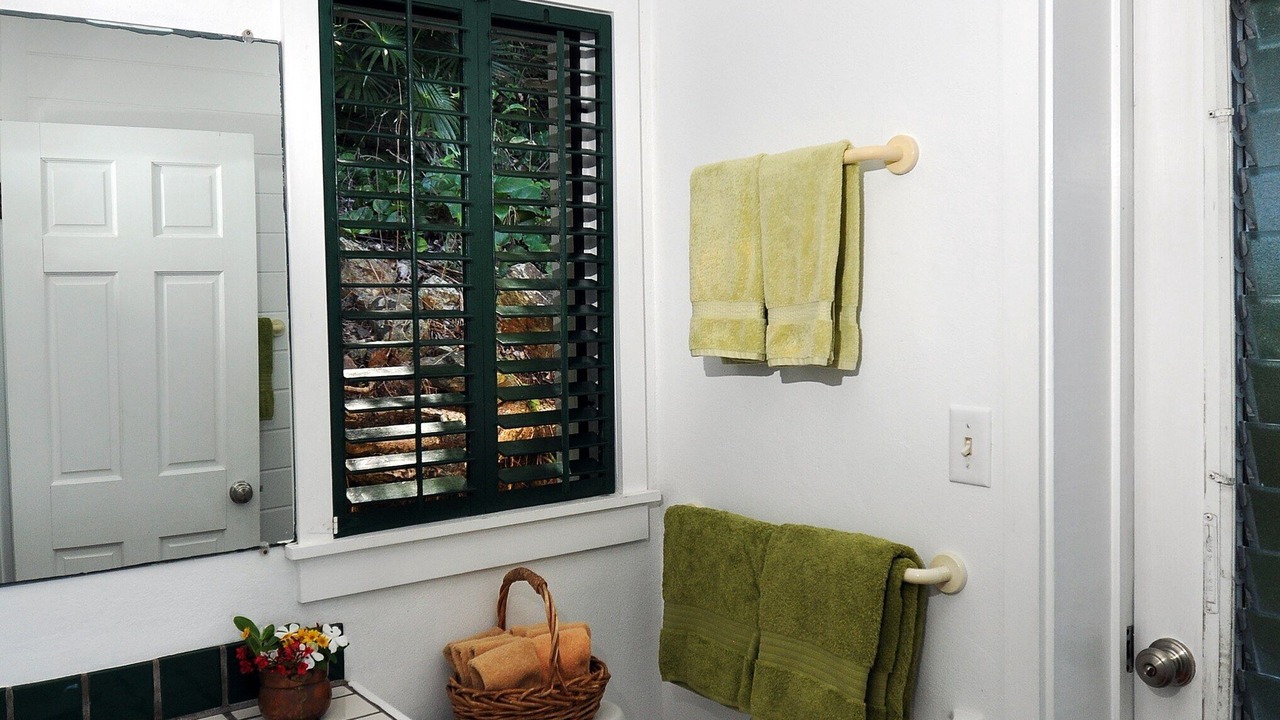 Photo of Bathroom in Estate Calabash Boom
