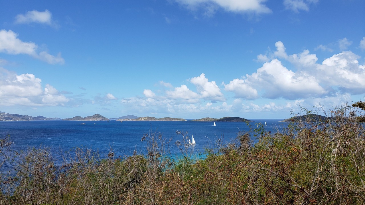 Photo of Others in Estate Chocolate Hole and Great Cruz Bay