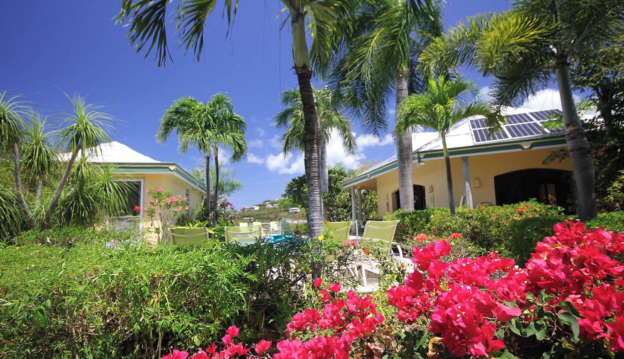 Photo of Outdoor in Estate Chocolate Hole and Great Cruz Bay