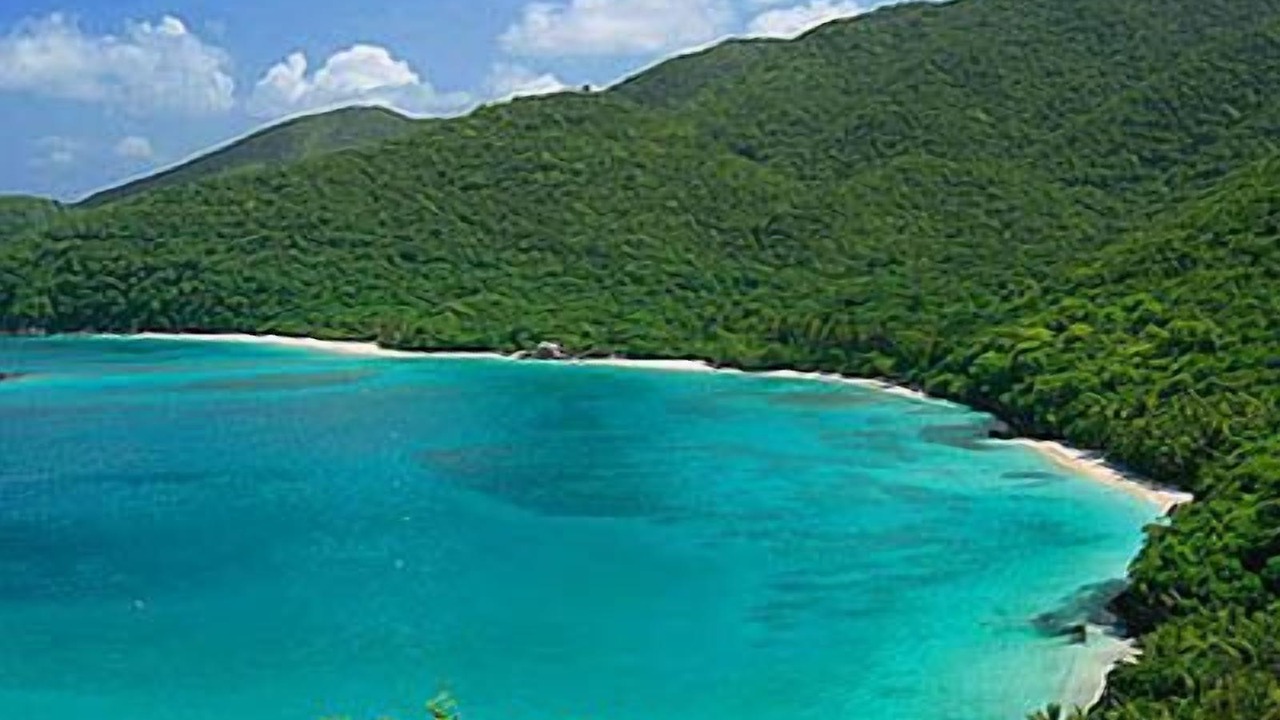 Photo of Others in Maho Bay Quarter