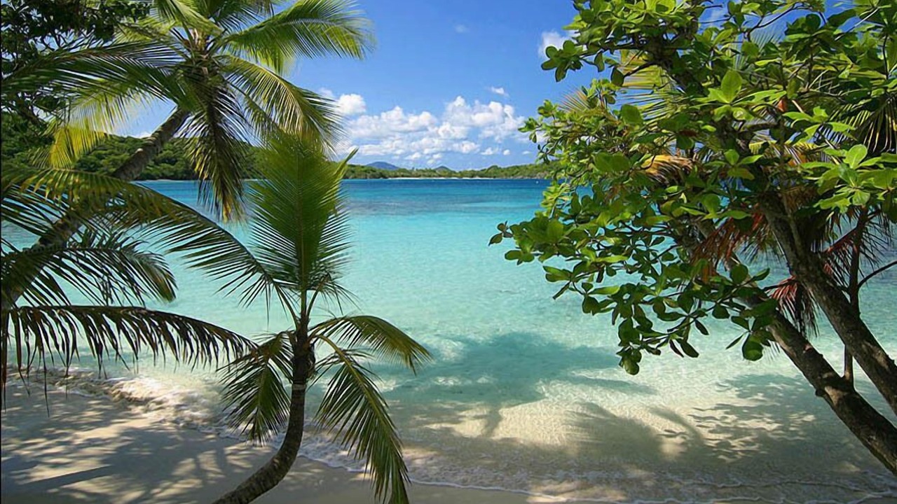 Photo of Others in Maho Bay Quarter
