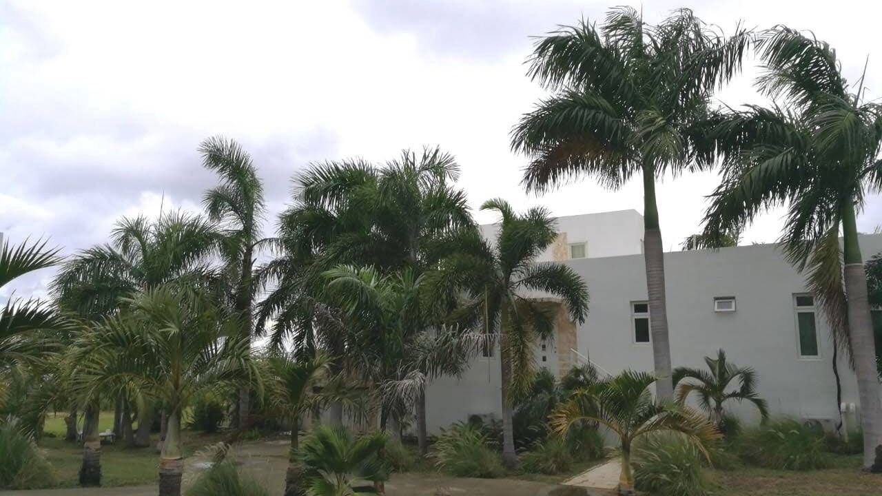 Photo of Outdoor in Christiansted