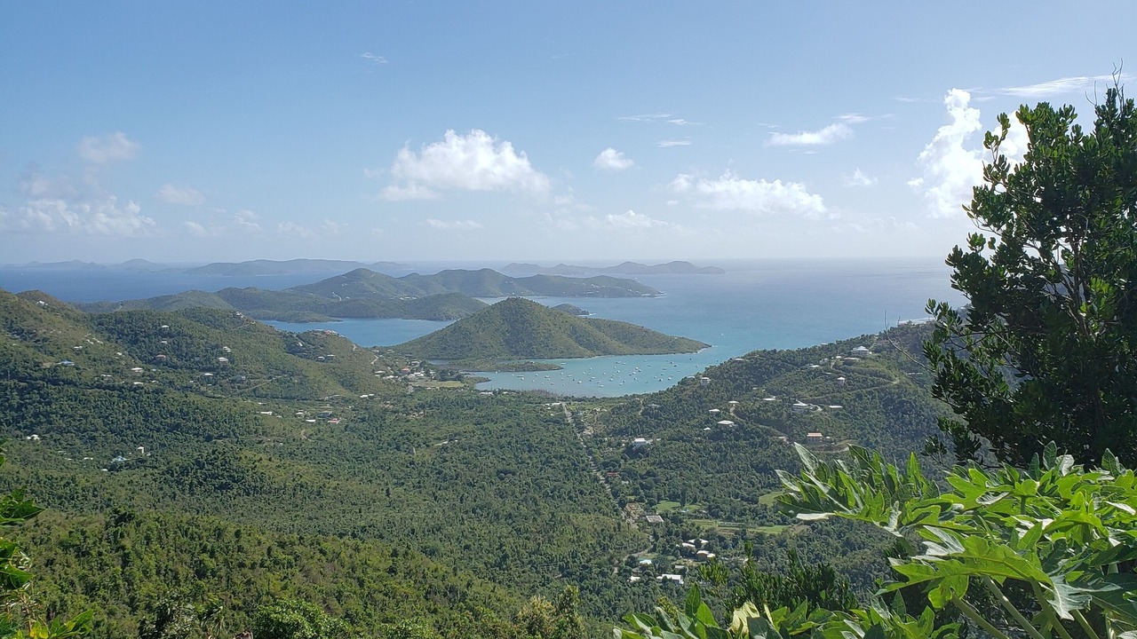 Photo of Others in Maho Bay Quarter