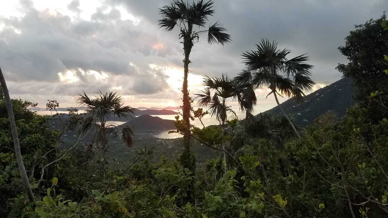 Photo of Outdoor in Maho Bay Quarter