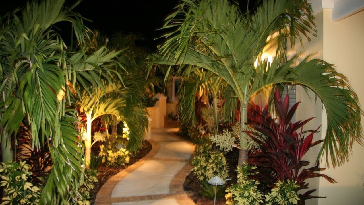 Photo of Outdoor in Grapetree