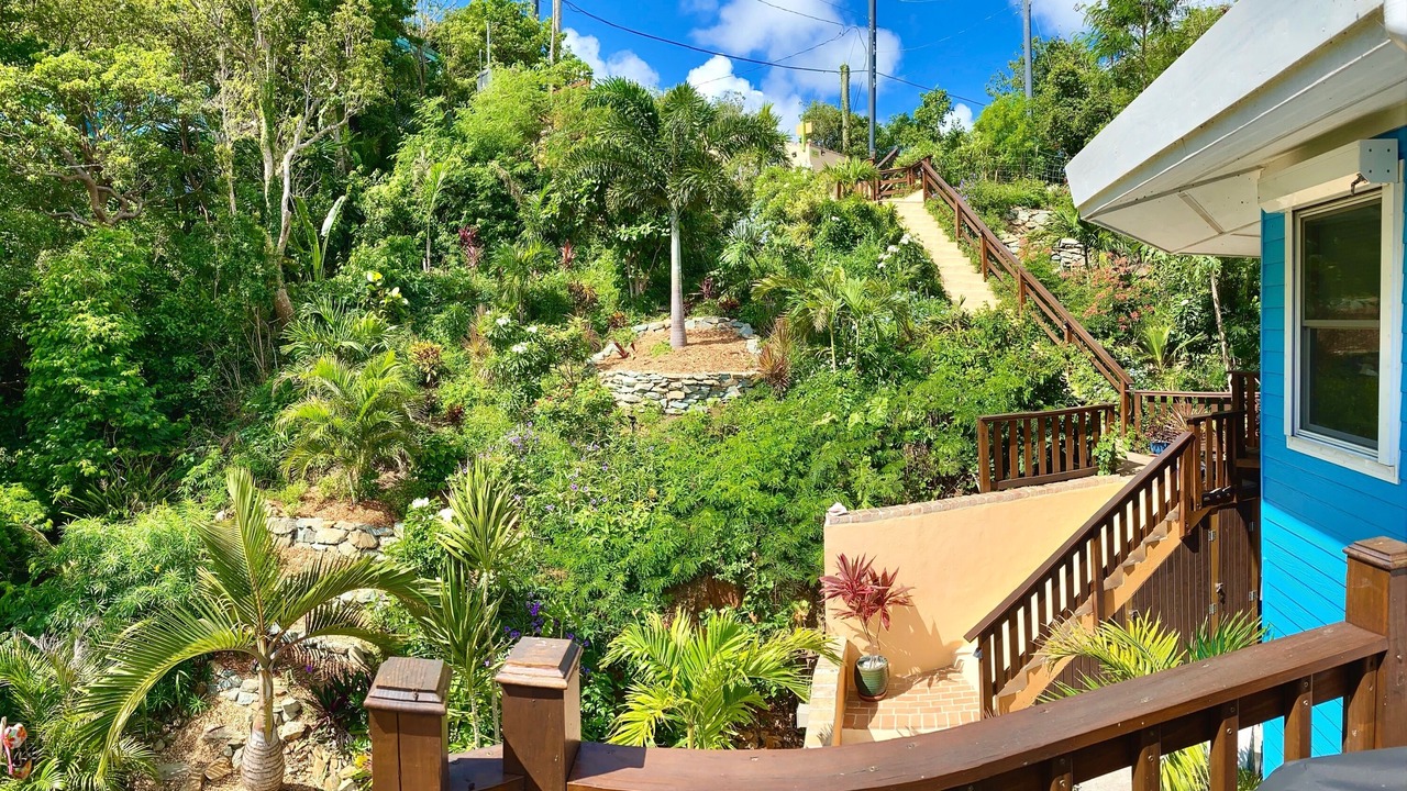 Photo of Outdoor in Estate Carolina