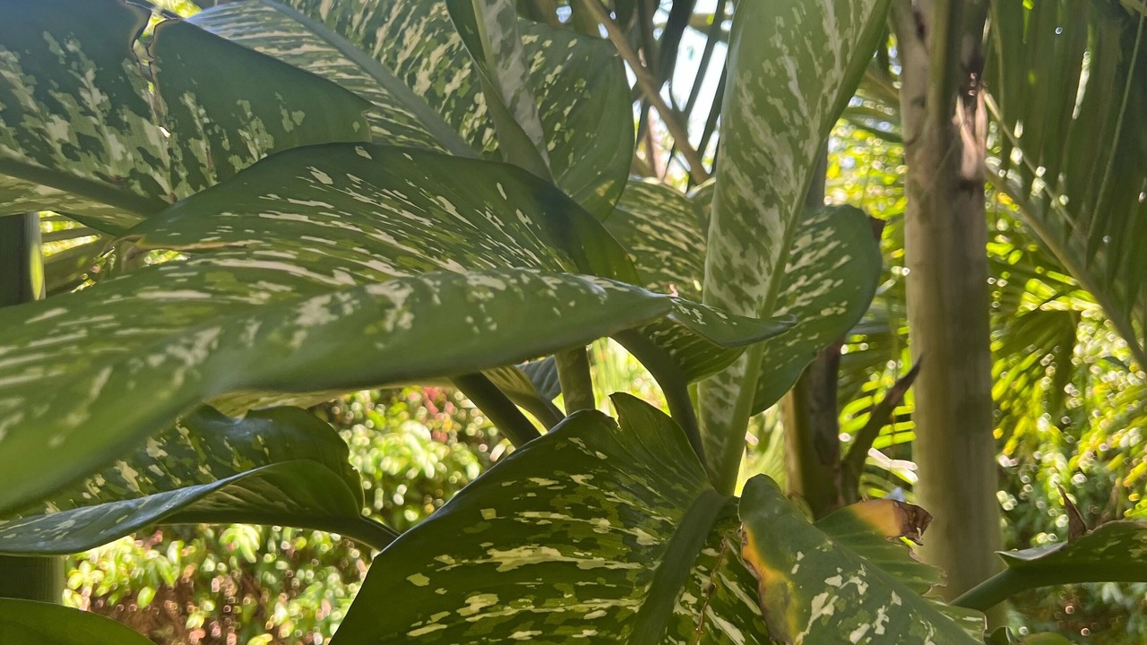 Photo of Outdoor in Caret Bay