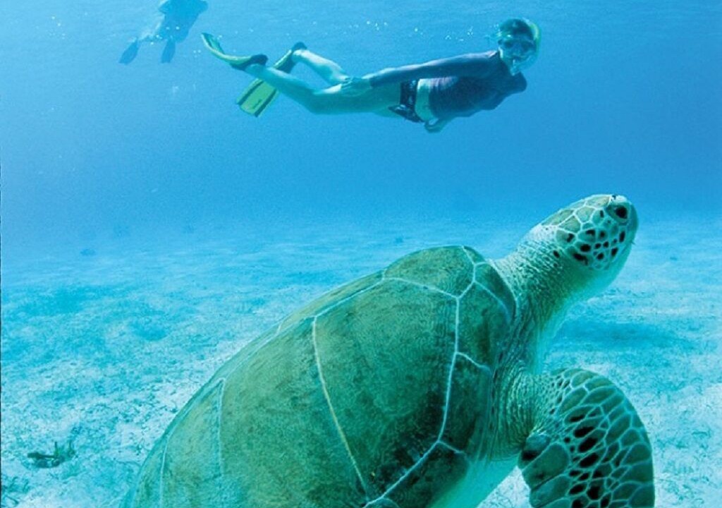 Photo of Others in Estate Chocolate Hole and Great Cruz Bay
