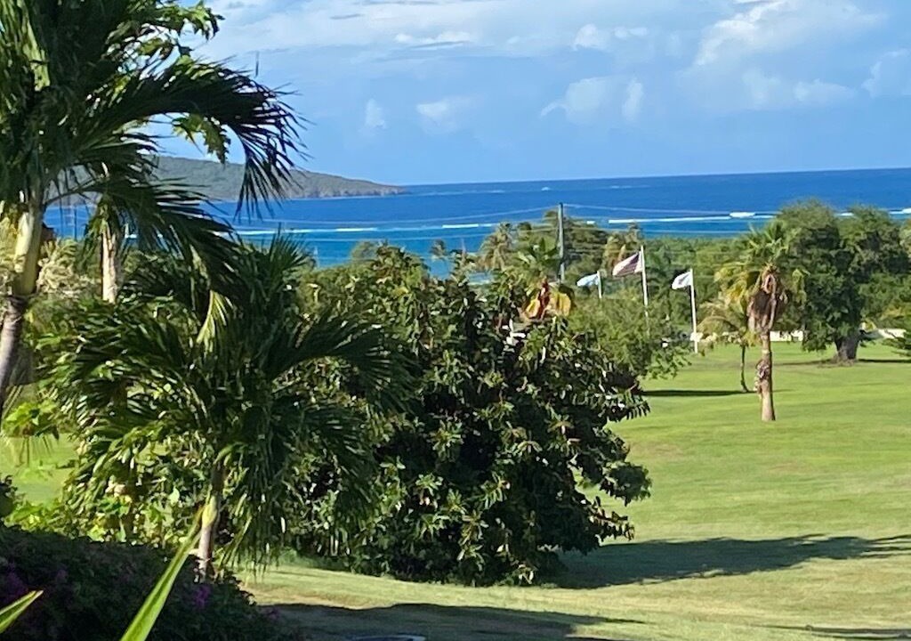 Photo of Others in Teagues Bay