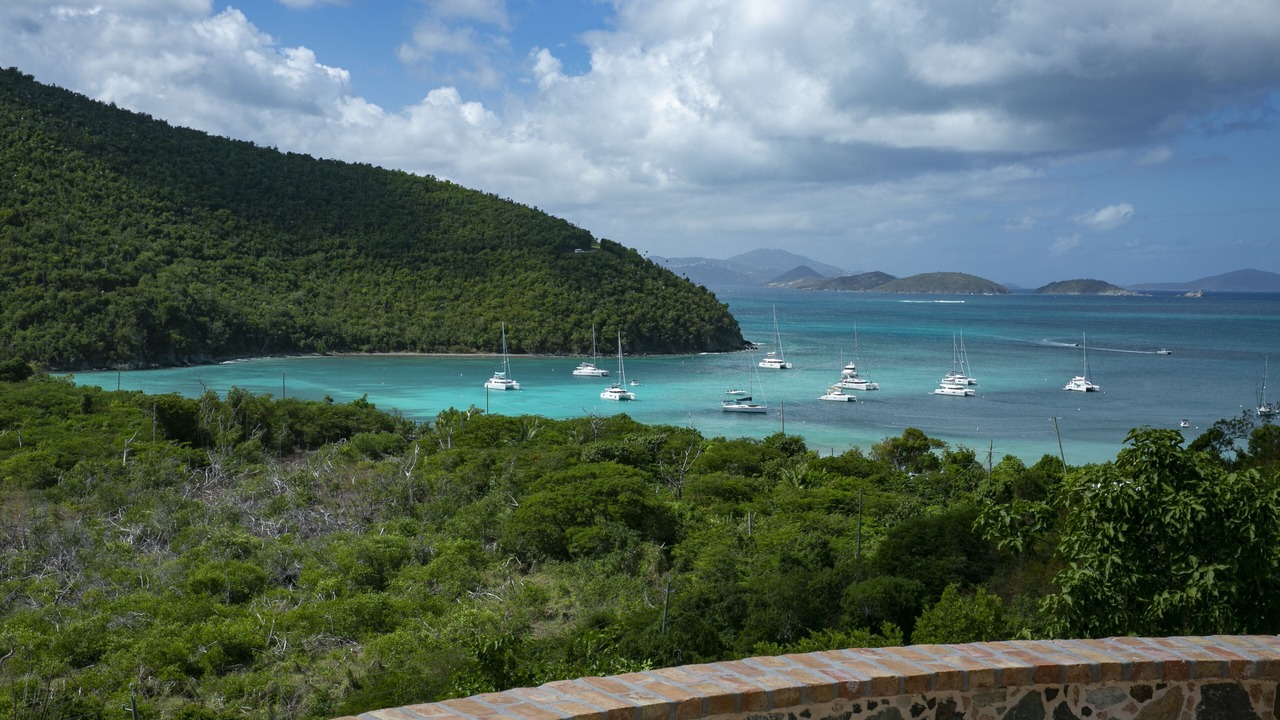 Photo of Others in Maho Bay Quarter