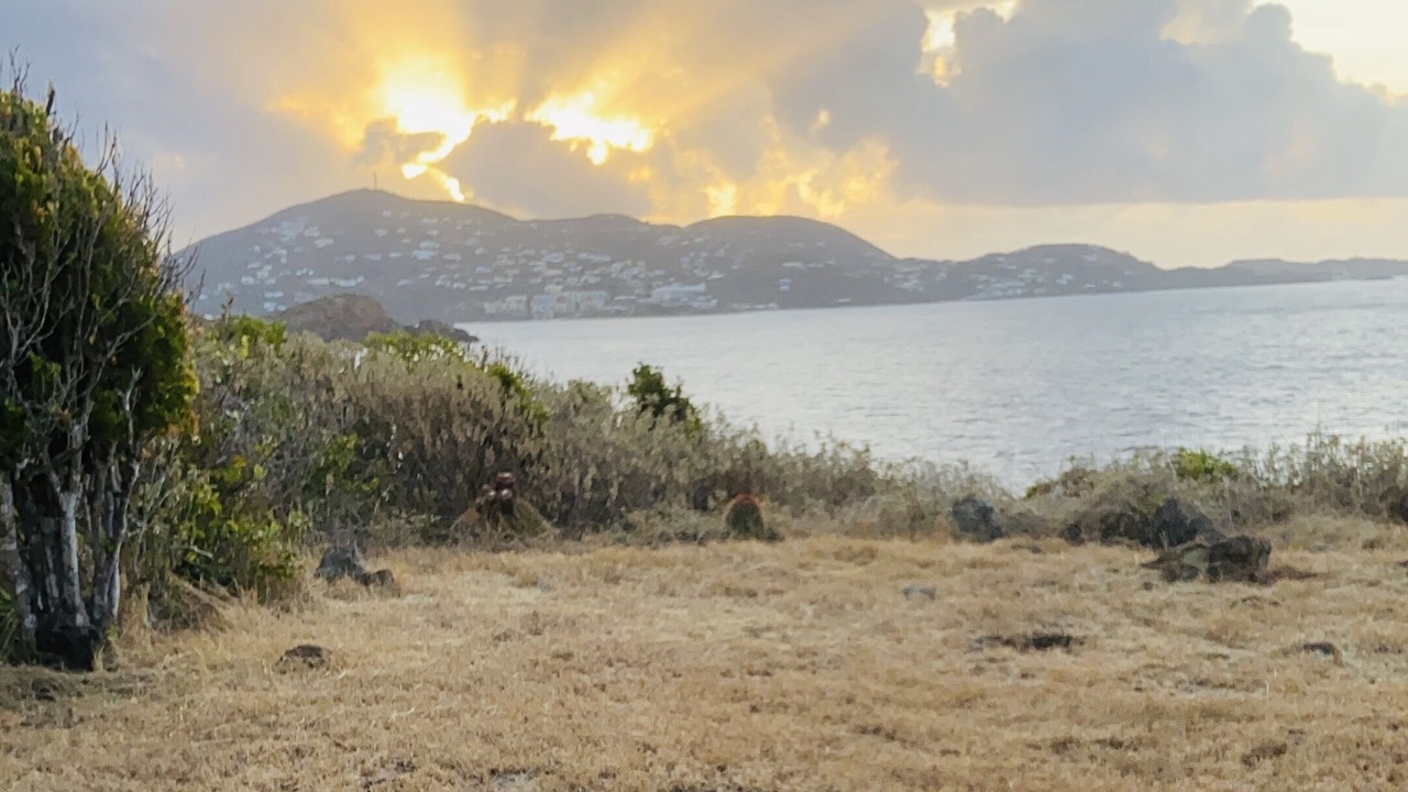 Photo of Others in Estate Western Water Island
