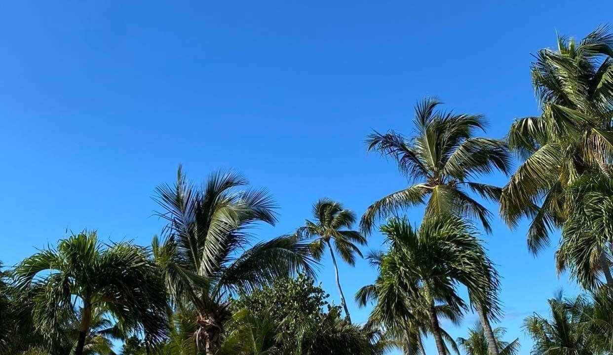 Photo of Outdoor in Estate Frenchman Bay