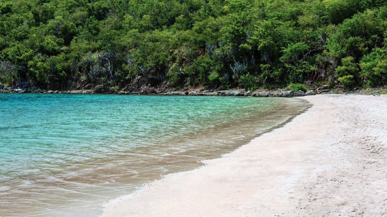 Photo of Others in Estate Chocolate Hole and Great Cruz Bay