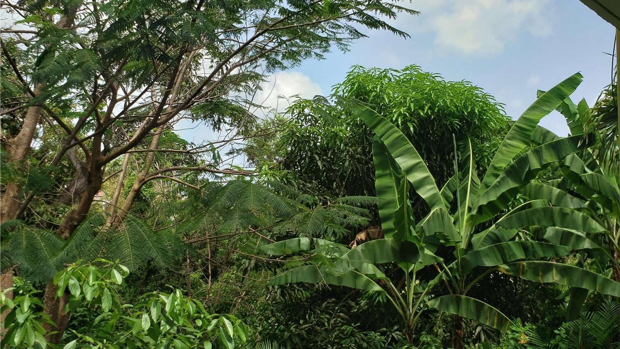Photo of Others in Caret Bay