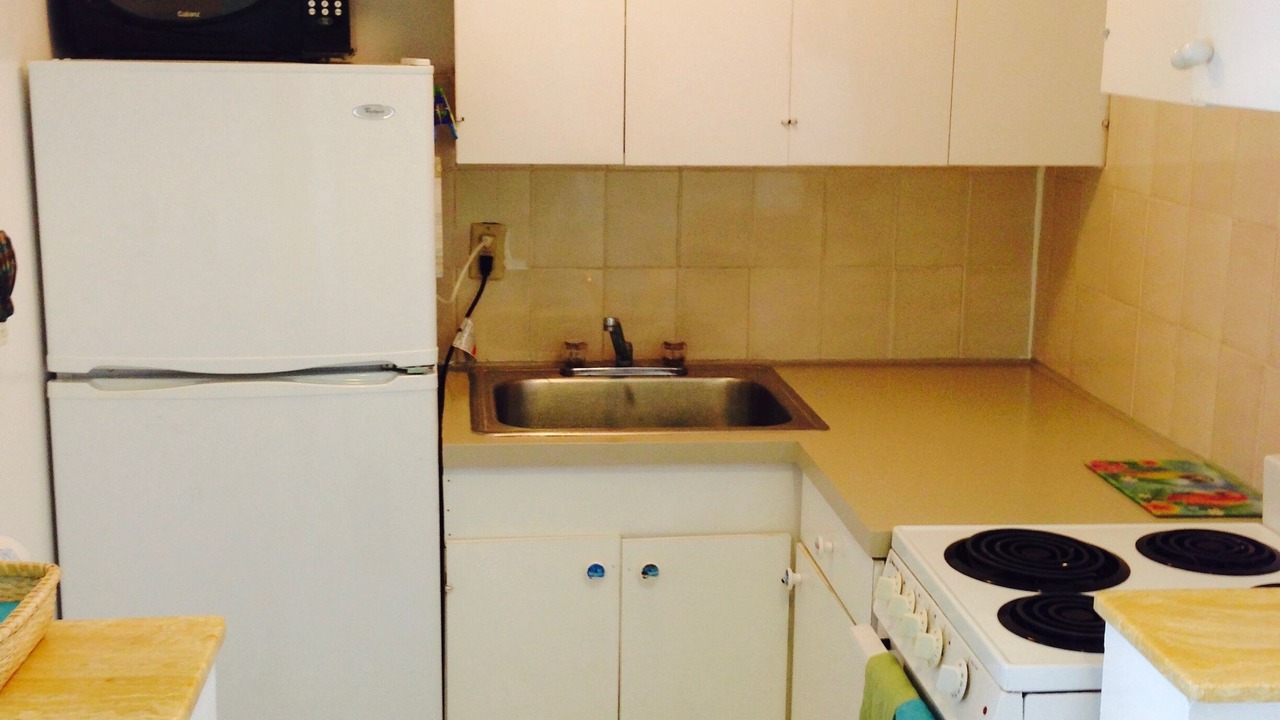 Photo of Kitchen in Red Hook